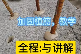 植筋全程教学，同行新手认真看完就会视频封面