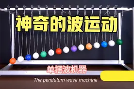”神奇波运动”看看你能认出几种波？视频封面