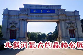 一座百米小山，留下众多历史人物足迹，林彪的最后七天就住在这里视频封面