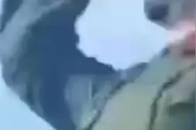 解封了，朋友圈里都疯了视频封面