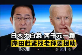 日本大白菜两千日元一颗，物价狂涨，岸田赶紧找老拜要援助视频封面