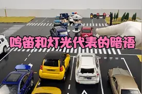 汽车鸣笛和夜间灯光代表的暗语视频封面