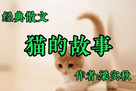《猫的故事》，作者，梁实秋视频封面