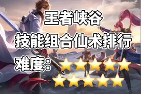 王者峡谷全英雄技能组合仙术排行视频封面