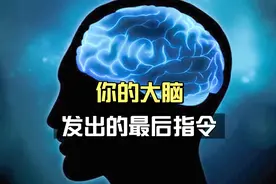 人类大脑发布的最后一道指令！视频封面