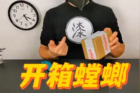 螳螂的战斗力有多强？小伙开箱螳螂被坑了！视频封面
