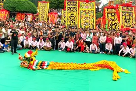 陆丰滚地龙视频封面