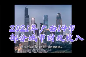 2021年广西14市部分城市财政收入视频封面