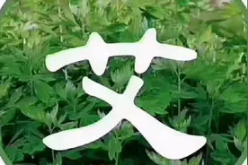 中灸论道：艾灸后三十二种反应，代表那些疾病。视频封面