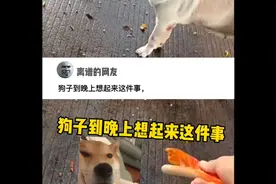 哈哈哈！大哥人家就是说说，你来真的？视频封面
