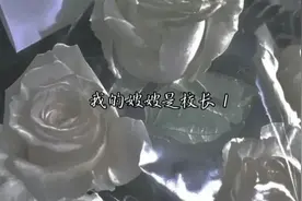 我的嫂嫂是校长1视频封面