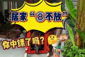 第⑥条——“客厅不要养乌龟”，这什么鬼？？——居家“八不放”视频封面