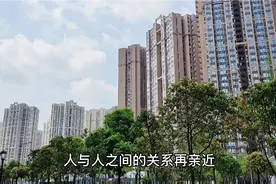 人与人之间的关系视频封面