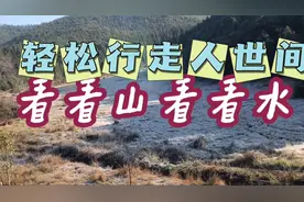 跑到山上看看树欣赏自然山水视频封面