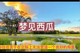 梦到西瓜。视频封面