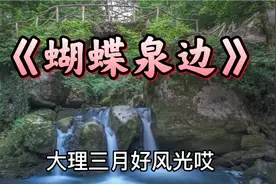 奚秀兰演唱《蝴蝶泉边》大理三月好风光阿哥阿妹来相聚请您欣赏视频封面