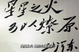 星星之火，是怎么燎原的？视频封面