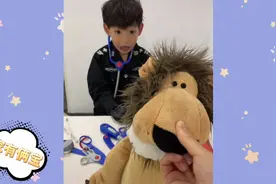 医生 不好啦 我被狮子咬到手啦视频封面