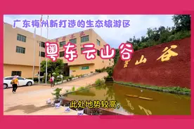 粤东云山谷，广东梅州新打造的生态旅游区，茶果飘香，景色秀丽！视频封面