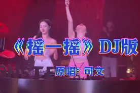 一首超好听的，DJ舞曲《摇一摇》 中文DJ版。视频封面