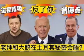 讽刺搞笑配音 老拜和大鹅在土耳其秘密会晤？斯基感受到背叛！视频封面