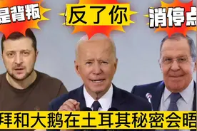 讽刺搞笑配音 老拜和大鹅在土耳其秘密会晤？斯基感受到背叛！视频封面