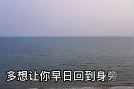 《宝岛台湾》欢迎回家