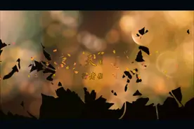原创作品 《秋天的风》摄影编辑制作 旅行者视频封面