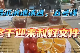 哈尔滨百年工程地铁4号5号线，利好皆房地产，轻轨利好恒大文旅城视频封面