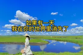 如果有一天我在你的世界里消失了视频封面