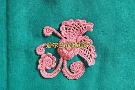 爱尔兰花叶片钩织教程录完，喜欢的友友收藏加关注，下个出蝶蝶了视频封面