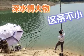 野钓：九米长竿搭配12米的主线，狂拉大草鱼的过程真的太刺激视频封面
