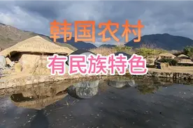 都说韩国是发达国家有钱，实拍真实山村，比国内就强那么一点呀视频封面