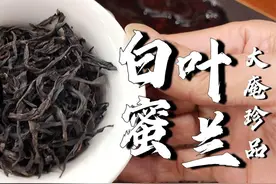 极力推荐，春季凤凰单丛蜜兰香，高山老枞品种，喝过的朋友都喜欢视频封面