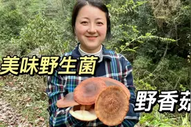 姐妹俩再次探秘原始森林，又发现了不少好货，累并快乐着视频封面