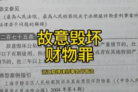 《刑法》275条故意毁坏财物罪#刑法#故意毁坏财物罪#普法视频封面