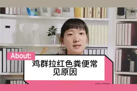 鸡群拉红色粪便的高发期又到了，都有哪些原因？一起学习视频封面
