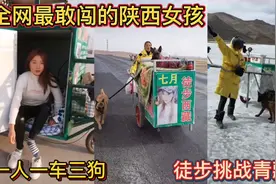 全网最敢闯的陕西女孩！一人一车三狗，徒步挑战青藏线！视频封面