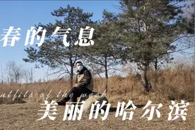 让我好好看看你哈尔滨视频封面