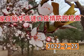 石家庄裕华高速口疫情防控常态化检查视频封面