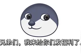 狗头卡包狗头素材，需要的自取。注:评论区还会发一遍。视频封面