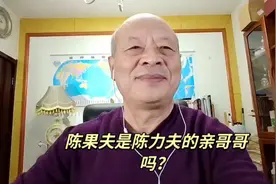 陈果夫是陈立夫的亲哥哥吗？视频封面