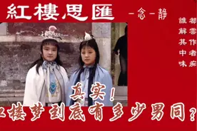 红楼梦到底有多少男同？视频封面
