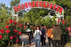 徐州植物园的月季花，太漂亮了！吸引众多美女打卡拍照，你去了吗视频封面
