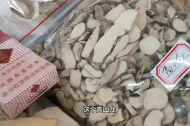 中药材：五爪龙，高山龙，大芦，狮子尾，黑老虎这些东西听说过吗