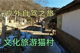 地处太行深山，保定阜平以猫而改的名猫村，带您游览猫文化古村落视频封面