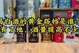 喝白酒的黄金搭档是谁？有了他，酒量都能提高不少！视频封面