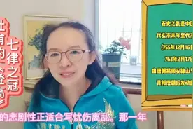 无边落木萧萧下，不尽长江滚滚来，杜甫的一首时代绝唱《登高》视频封面