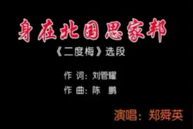 487-身在北国思家邦视频封面