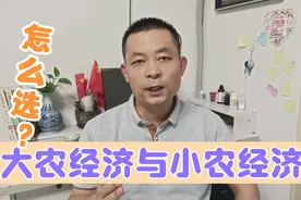 农民未来在哪里（二），大农经济与小农经济怎么选更有未来？视频封面